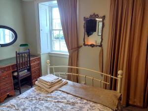 a bedroom with a bed and a dresser and a mirror at Central Georgian Garden Flat with Free Parking in Bath
