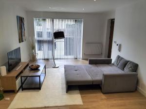 Sjónvarps- og/eða afþreyingartæki á Dream Apartment