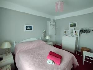 Fotografie z fotogalerie ubytování Homely Wee House v destinaci Belfast