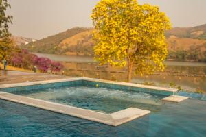 a swimming pool with a tree and a body of water at Pousada Ipê do Lago in Capitólio