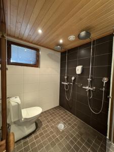 a bathroom with a toilet and a shower at Himos Kuikanhovi A in Jämsä +6 photos