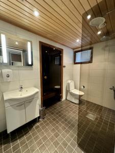 a bathroom with a sink and a toilet at Himos Kuikanhovi A in Jämsä