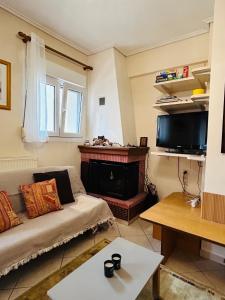 een woonkamer met een bank en een open haard bij Basis Apartment in Karpenisi
