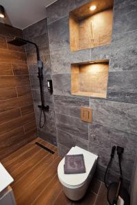 ein Badezimmer mit Toilette und Dusche in der Unterkunft AGIA- luxury apartment Sofia in Sofia