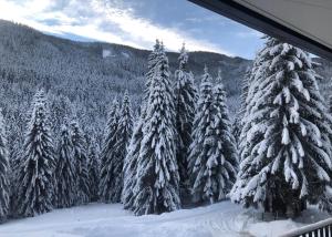Mountain View by Globalimmoservice v zimě
