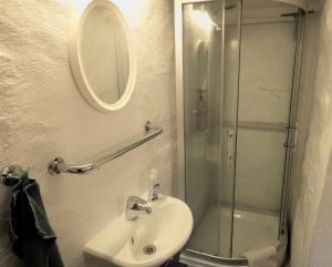 レイキャビクにあるMain street X-small, ensuite bathroom and own kitchenの洗面台とシャワー付きのバスルーム