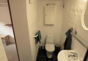 レイキャビクにあるMain street X-small, ensuite bathroom and own kitchenのトイレと洗面台のある小さなバスルーム