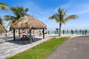 a picnic table and palm trees on the beach at Oceanside Spacious Studio Escape in Marathon