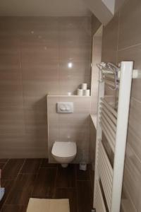 a small bathroom with a toilet and a sink at Cozzy cottage near Ljubljana in Višnja Gora +33 photos