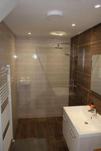 a bathroom with a shower and a sink at Cozzy cottage near Ljubljana in Višnja Gora