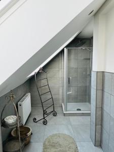 ein Bad mit einer Dusche und einer Leiter im Dachgeschoss in der Unterkunft Ferienwohnung Zur Alten Tischlerei in Dissen + 37 Fotos