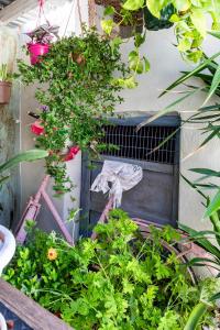 a garden with plants and a bird on a cage at Casa Rural al Sol De Las Ruinas- piscina privada in Belchite