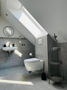ein Badezimmer mit einem Waschbecken, einem WC und einem Dachfenster in der Unterkunft Ferienwohnung Zur Alten Tischlerei in Dissen