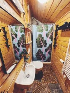 a small bathroom with a toilet and a sink at Polanka Beskid Niski cute cabin with spectacular views in Hańczowa +51 photos