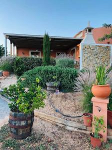 a garden with potted plants in front of a house at Casa Monte das Medronheiras in Vale Covo