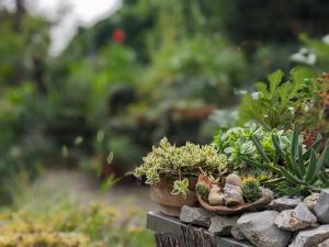 two potted plants sitting on top of a stone wall at Apartment Sea Garden in Ičići