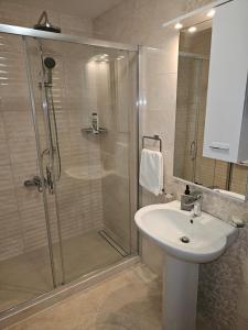 a bathroom with a shower and a sink at AS Apartment in Podgorica