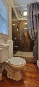 a bathroom with a toilet and a shower at Caye Caulker Boutique Guesthouse 6 in Caye Caulker +6 photos