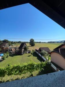 Příroda nedaleko apartmánu + 2 fotografie