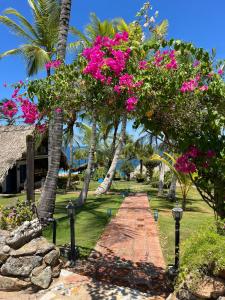 ein Weg, der zu einem Resort mit rosa Blumen führt in der Unterkunft Ranchos de Chana, Rancho Agua E Panela in Flandes