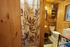 a bathroom with a toilet and a shower curtain at Cozy Cove Cottage Winter Rental Available in Belgrade +18 photos
