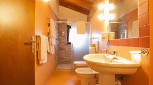 a bathroom with a sink and a toilet at Residence Les Nigritelles in Cogne +35 photos
