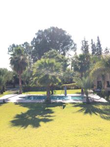 Zahrada ubytování Teacook Marrakech