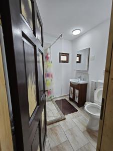 a bathroom with a toilet and a sink at La Temelie in Pietreni +26 photos