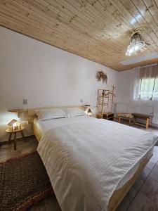 a large bed in a bedroom with a wooden ceiling at La Temelie in Pietreni