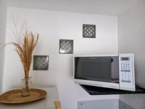 a microwave sitting on a shelf next to a vase at Chalés Recanto das Flores RN in Monte das Gameleiras