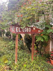 Lobo Hostel - Rurrenabaque的证书、奖牌、标识或其他文件