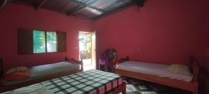 Ce lit se trouve dans une chambre dotée de murs rouges et d'une fenêtre. dans l'établissement Hostel María Ometepe, à Santa Cruz