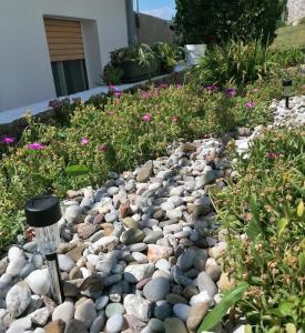 a garden with rocks and flowers in a yard at Apartments by the sea Bakarac, Kraljevica - 21710 in Bakarac +1 photo