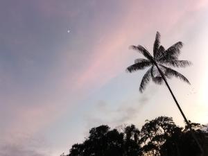 Fotografie z fotogalerie ubytování SOL & SELVA Hostal Mocoa Putumayo v destinaci Mocoa