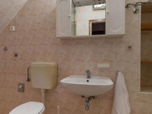 a bathroom with a toilet and a sink and a mirror at Apartments Nena ST - One Bedroom Apartment with Terrace and Sea View A4 in Pisak +6 photos