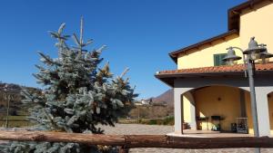 a christmas tree in front of a house at Tenuta Armida Relax & Pool in Liberi