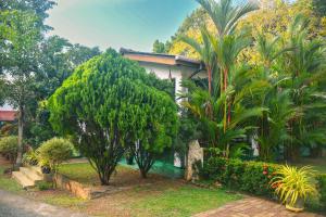 a house with trees and plants in front of it at White Eagle Hotel in Sigiriya