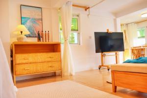 TV a/nebo společenská místnost v ubytování Blue Whale Villa - Deluxe