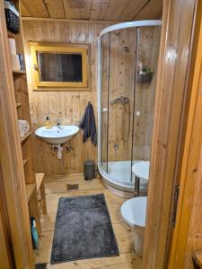 a bathroom with a shower and a sink and a tub at PETRA kuća za odmor in Vrbica +21 photos