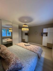a bedroom with a large bed and a mirror at Soleil de Sète, maison coquette en cœur de ville in Sète