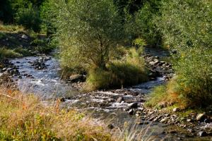 Afbeelding uit fotogalerij van Domeniul Roa in Avrig