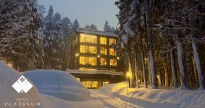 Hakuba Platinum v zimě