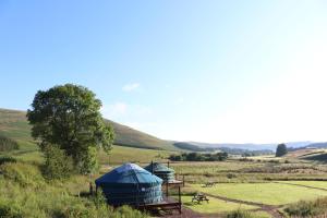 a group of tents in a field with hills in the background at Ettrick Valley Yurts in Yarrow
