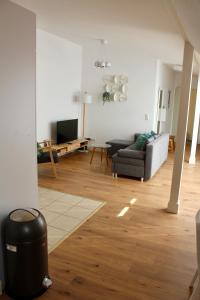 TV a/nebo společenská místnost v ubytování Drottning Ferienwohnung Altstadt Wismar