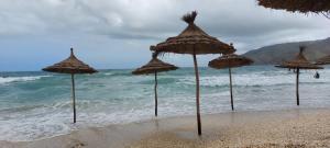 a group of straw umbrellas on the beach at Mirador Golf 3 cappuccino in Cabo Negro