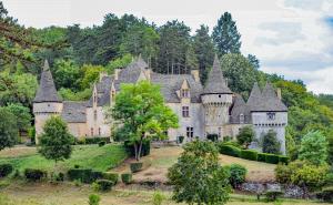 een oud kasteel op een heuvel met bomen bij Domaine la Noyeraie Périgord Noir in Paulin