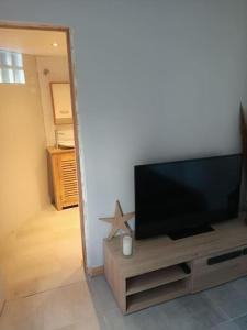 TV a/nebo společenská místnost v ubytování Gîte plain-pied avec jardin terasse