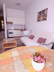 Kuchyň nebo kuchyňský kout v ubytování Lorena Apartments in Pula