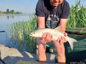 Gallery image of Stéghouse Kis-Duna in Dömsöd