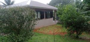 格劳德港Ecolodge Self-Catering 3的一栋带黑色百叶窗和两棵树的小房子